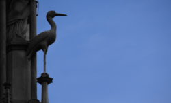 Tourismus im Ortenau, Baden Württemberg auf Französisch